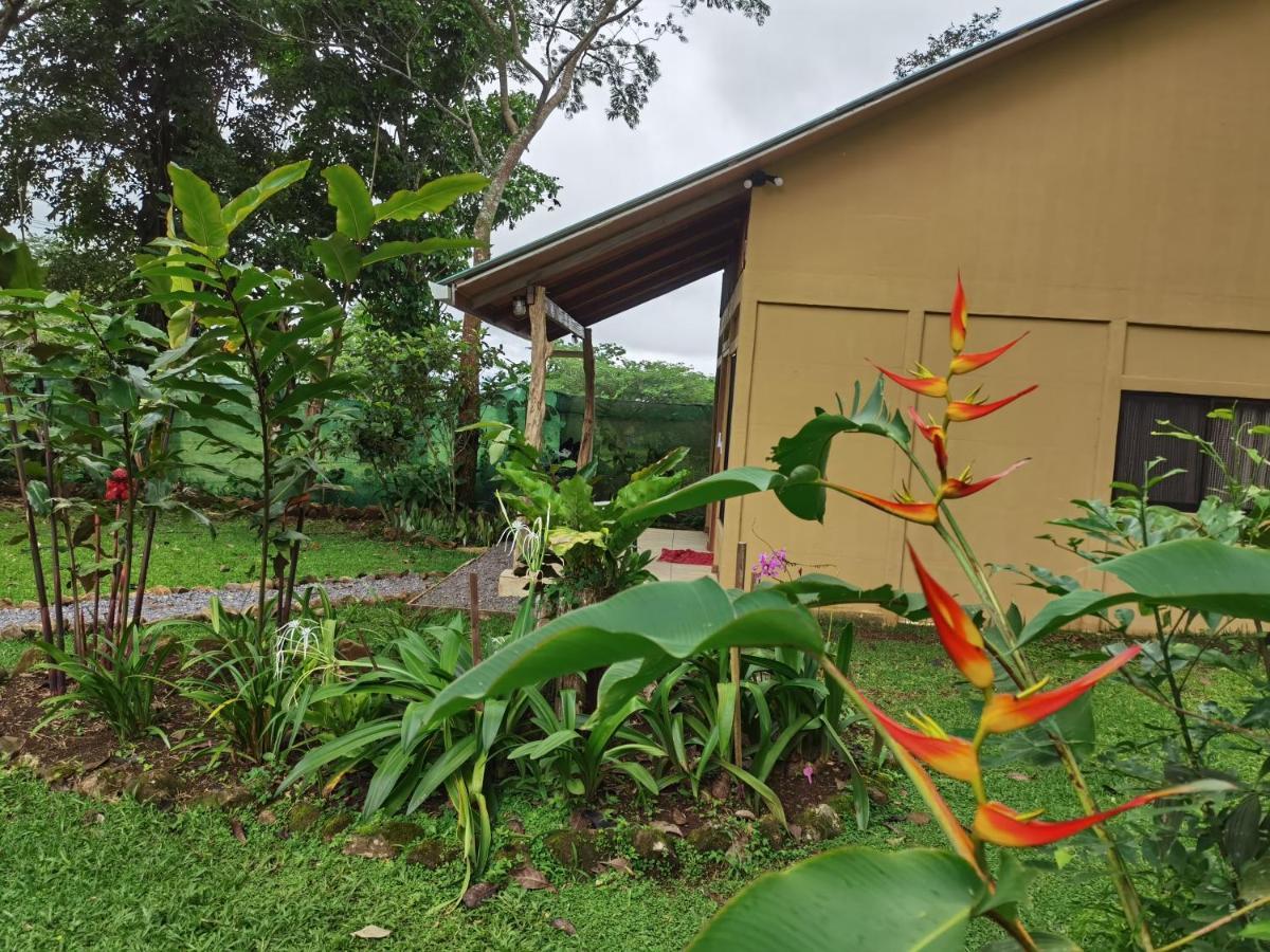 Greenhouse Loft Miravalles Aguas Claras  Bagian luar foto