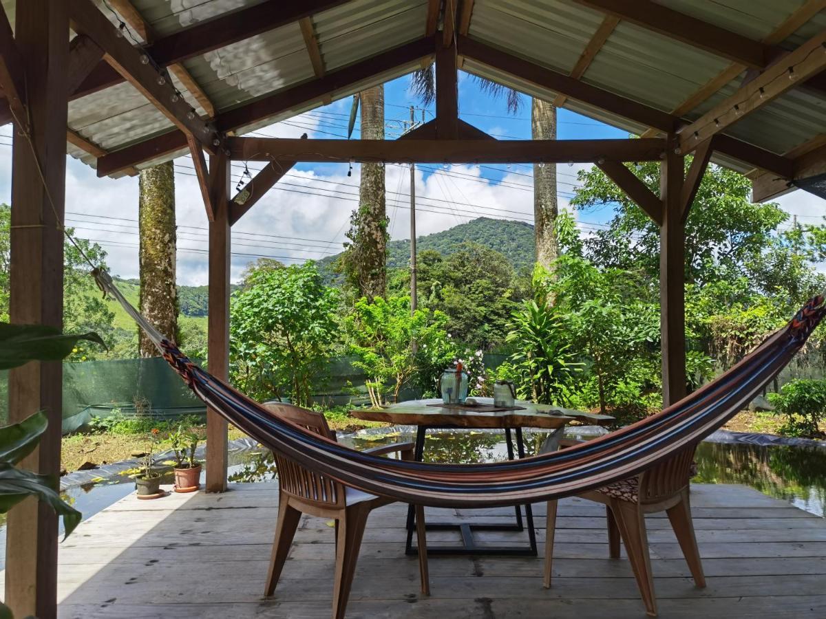 Greenhouse Loft Miravalles Aguas Claras  Bagian luar foto