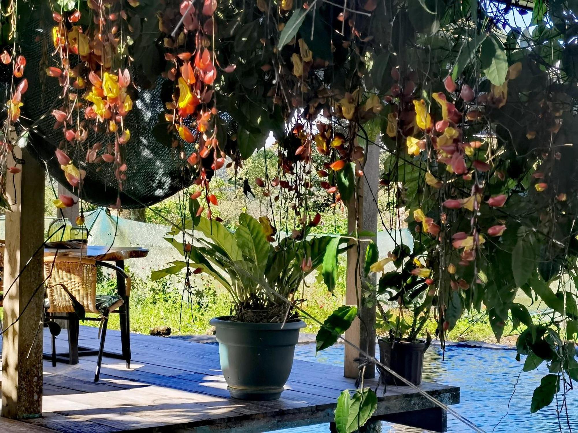 Greenhouse Loft Miravalles Aguas Claras  Bagian luar foto