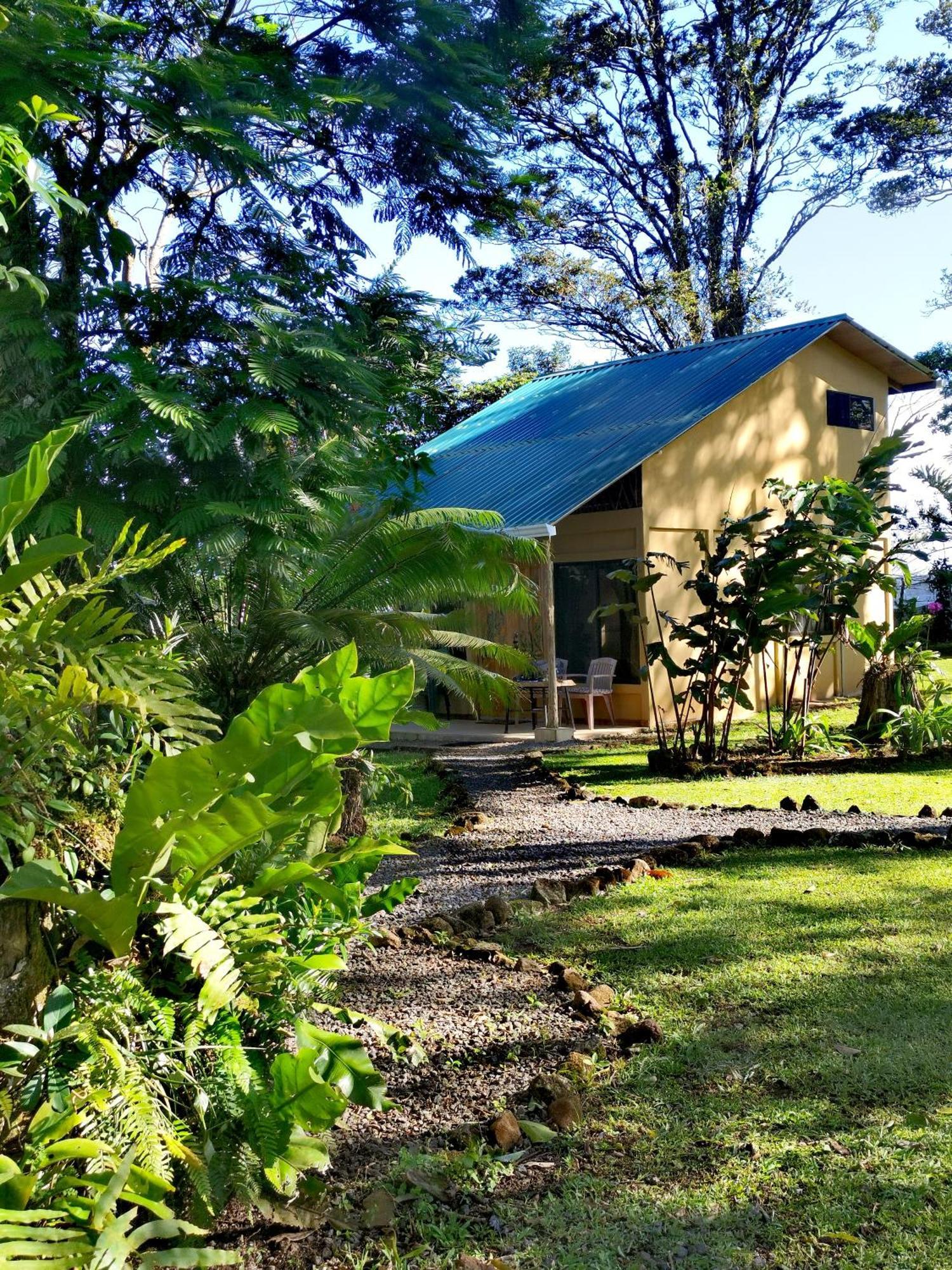 Greenhouse Loft Miravalles Aguas Claras  Bagian luar foto