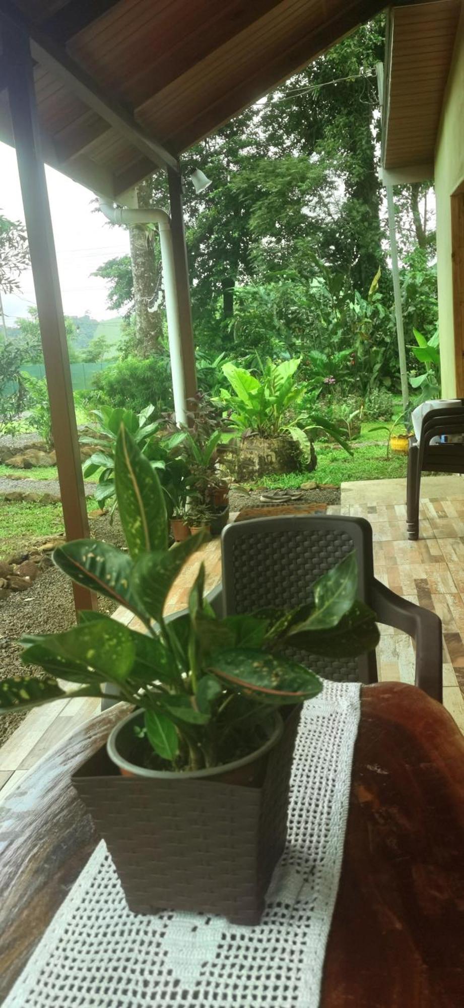 Greenhouse Loft Miravalles Aguas Claras  Bagian luar foto