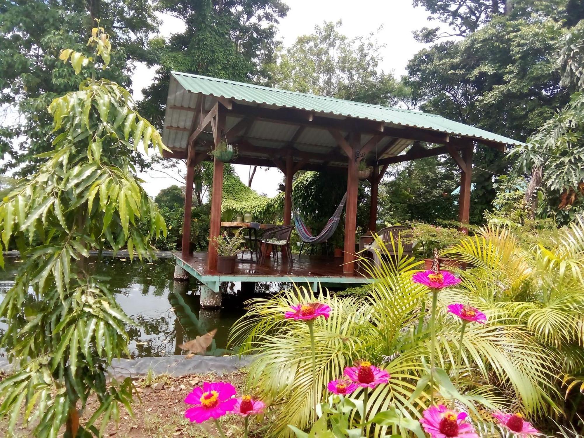 Greenhouse Loft Miravalles Aguas Claras  Bagian luar foto